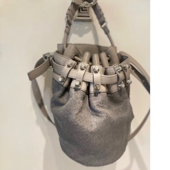 SOLD ✨ Alexander Wang 'DIEGO' Small CalfHair Panel Leather Bucket Bag - Picture 7 of 10